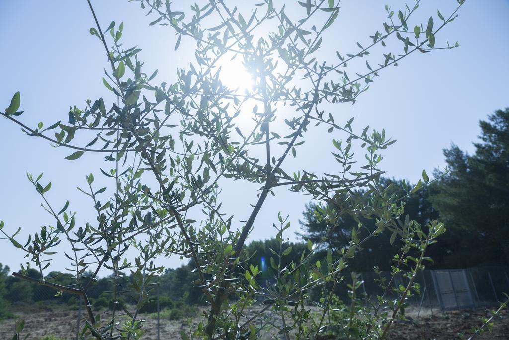 Hotel A Due Passi Dal Pizzo Pizzo  Εξωτερικό φωτογραφία